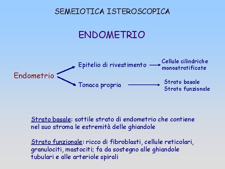 SEMEIOTICA ISTEROSCOPICA ENDOMETRIO Epitelio di rivestimento Endometrio Tonaca propria Cellule cilindriche monostratificate Strato basale