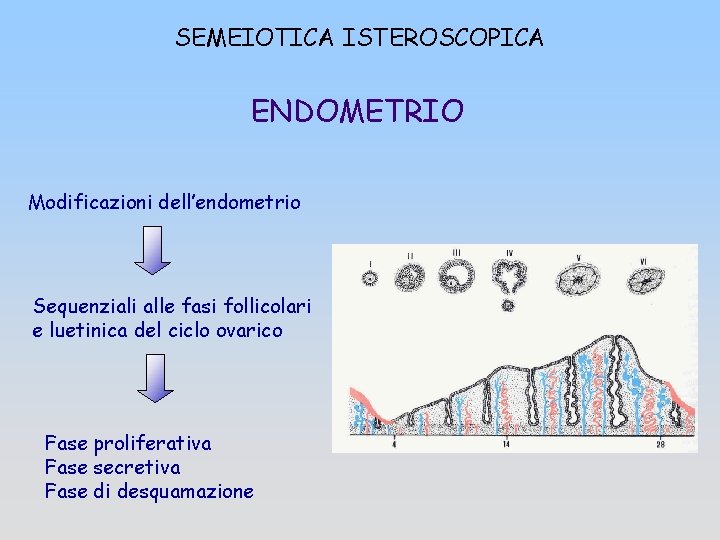 SEMEIOTICA ISTEROSCOPICA ENDOMETRIO Modificazioni dell’endometrio Sequenziali alle fasi follicolari e luetinica del ciclo ovarico