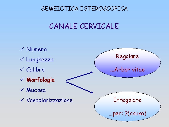 SEMEIOTICA ISTEROSCOPICA CANALE CERVICALE ü Numero ü Lunghezza ü Calibro Regolare. . . Arbor