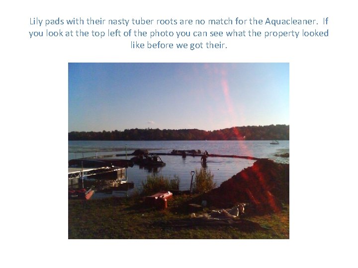 Lily pads with their nasty tuber roots are no match for the Aquacleaner. If