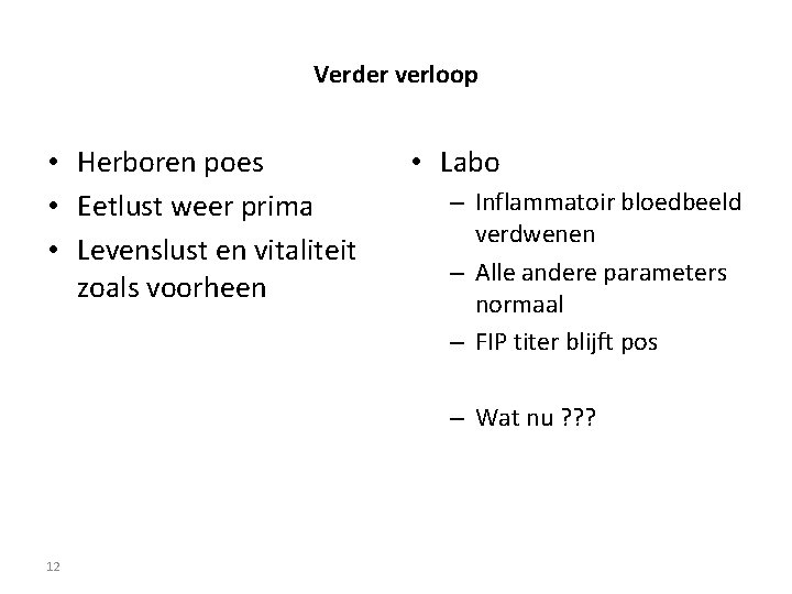 Verder verloop • Herboren poes • Eetlust weer prima • Levenslust en vitaliteit zoals