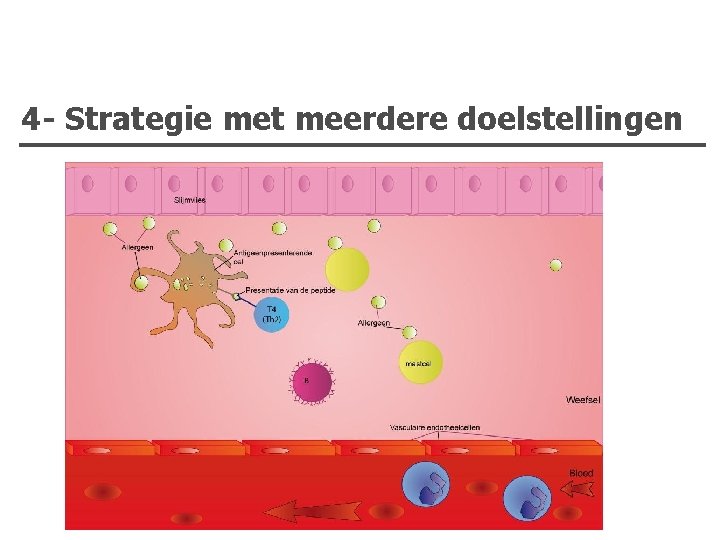 4 - Strategie met meerdere doelstellingen 