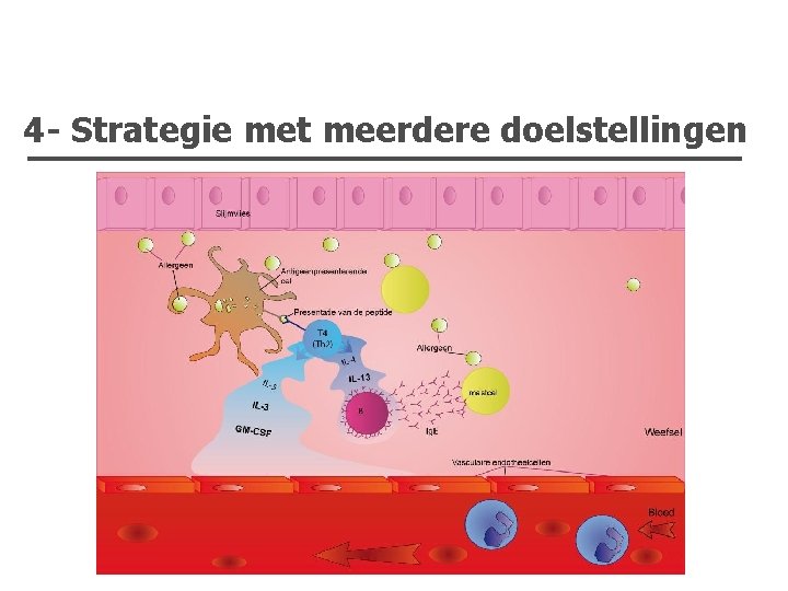 4 - Strategie met meerdere doelstellingen 