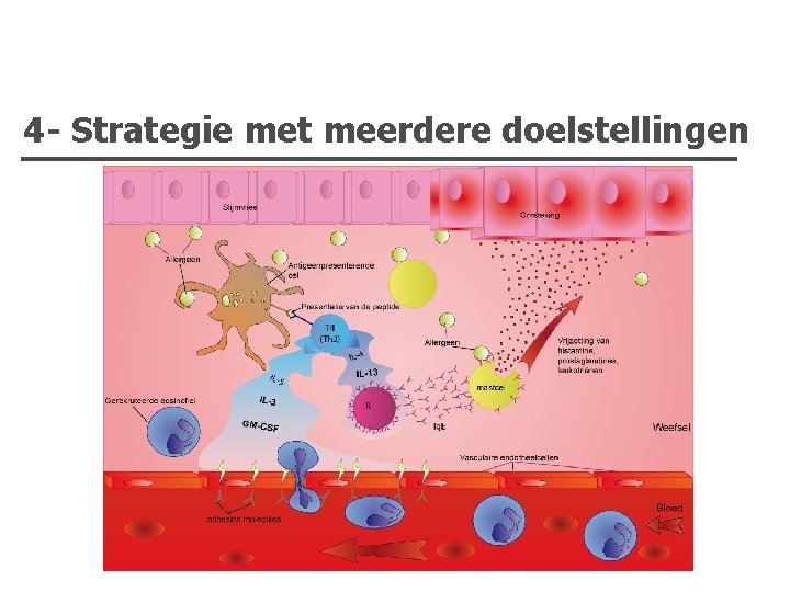 4 - Strategie met meerdere doelstellingen 