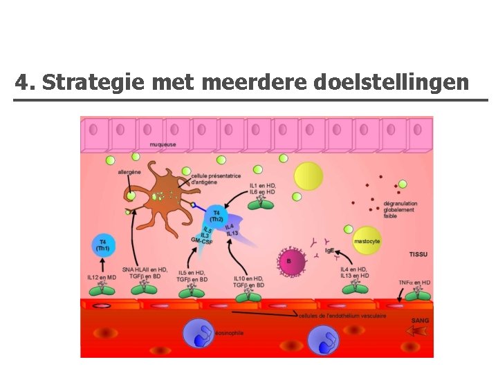 4. Strategie met meerdere doelstellingen 