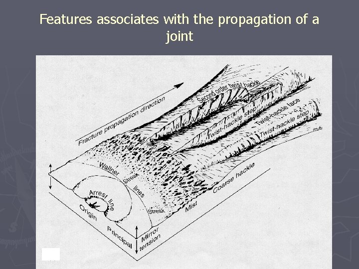 Features associates with the propagation of a joint 