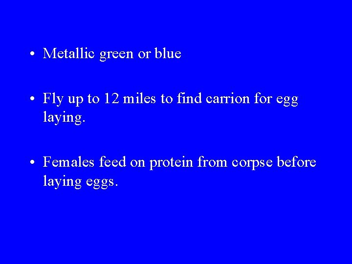 • Metallic green or blue • Fly up to 12 miles to find • Metallic green or blue • Fly up to 12 miles to find