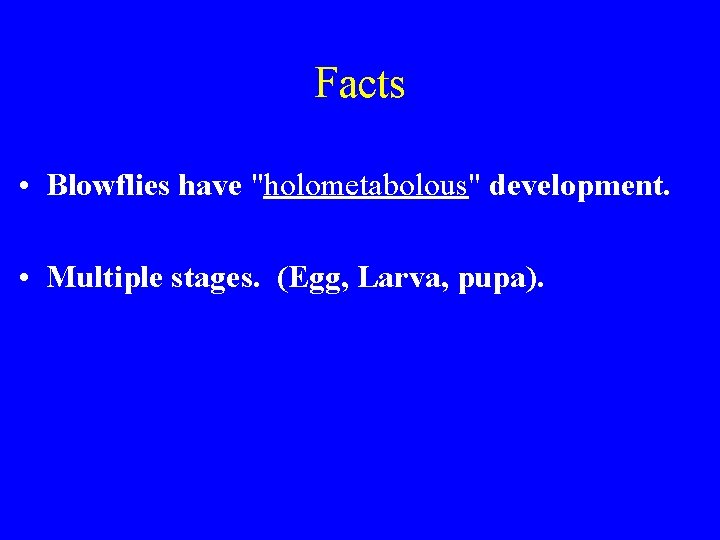 Facts • Blowflies have "holometabolous" development. • Multiple stages. (Egg, Larva, pupa). Facts • Blowflies have "holometabolous" development. • Multiple stages. (Egg, Larva, pupa).