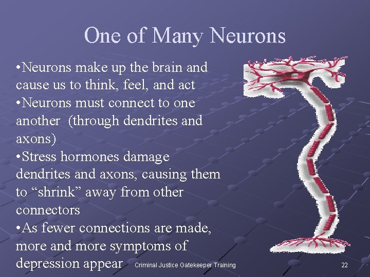 One of Many Neurons • Neurons make up the brain and cause us to