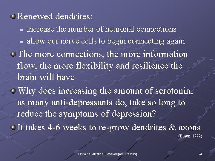 Renewed dendrites: n n increase the number of neuronal connections allow our nerve cells
