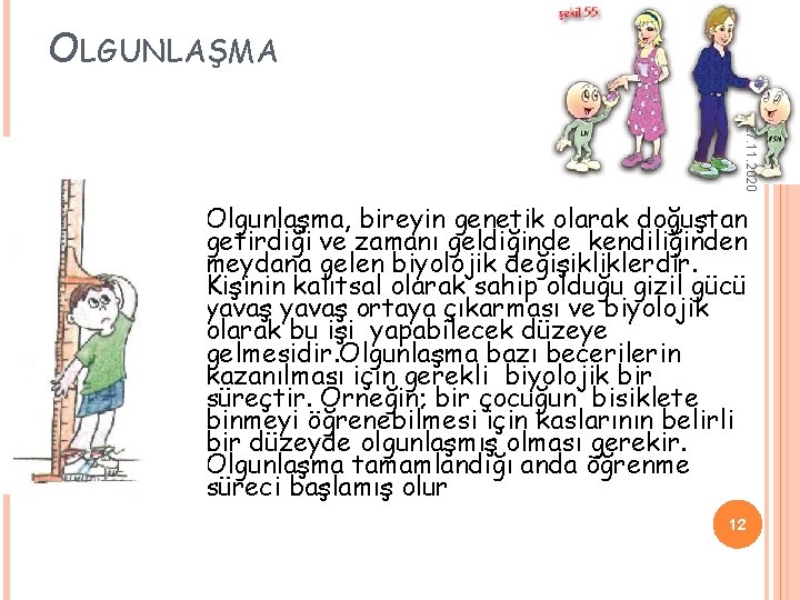 OLGUNLAŞMA 27. 11. 2020 Olgunlaşma, bireyin genetik olarak doğuştan getirdiği ve zamanı geldiğinde kendiliğinden OLGUNLAŞMA 27. 11. 2020 Olgunlaşma, bireyin genetik olarak doğuştan getirdiği ve zamanı geldiğinde kendiliğinden
