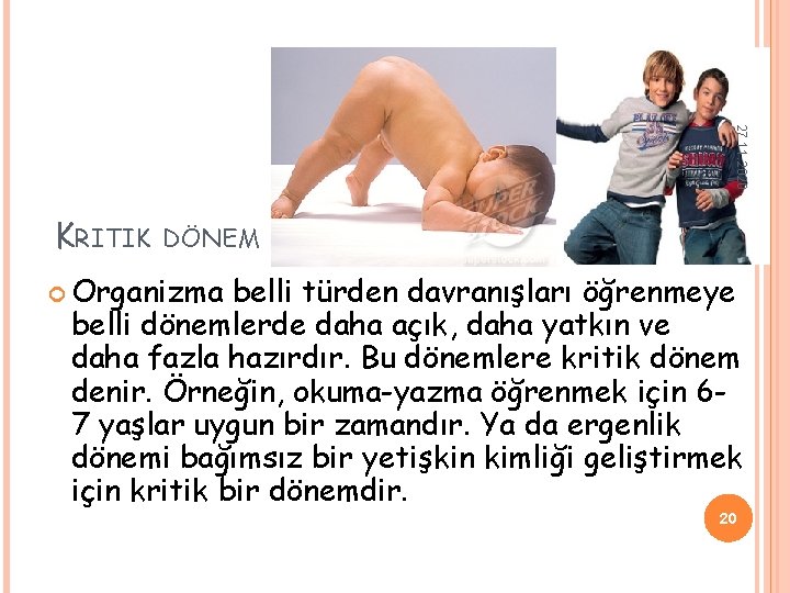 27. 11. 2020 KRITIK DÖNEM Organizma belli türden davranışları öğrenmeye belli dönemlerde daha açık, 27. 11. 2020 KRITIK DÖNEM Organizma belli türden davranışları öğrenmeye belli dönemlerde daha açık,