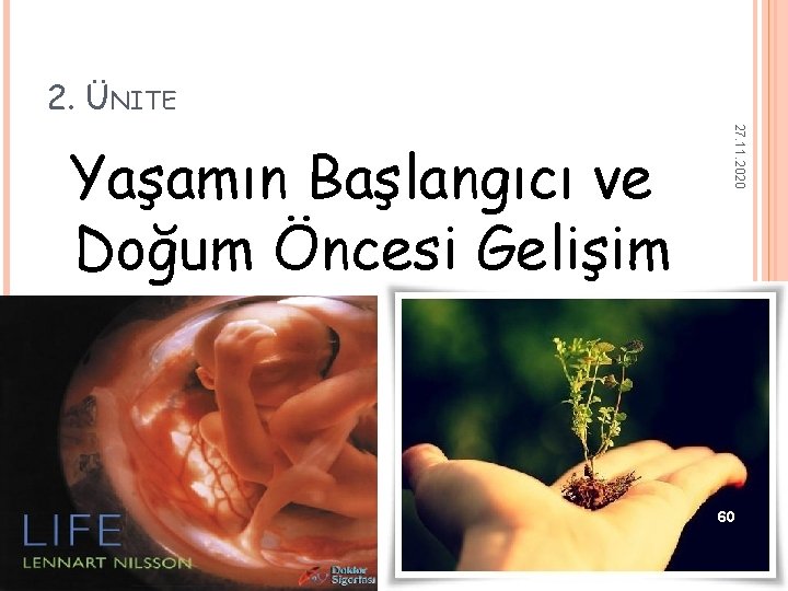 2. ÜNITE 27. 11. 2020 Yaşamın Başlangıcı ve Doğum Öncesi Gelişim 60 2. ÜNITE 27. 11. 2020 Yaşamın Başlangıcı ve Doğum Öncesi Gelişim 60
