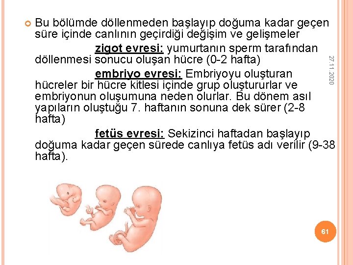 27. 11. 2020 Bu bölümde döllenmeden başlayıp doğuma kadar geçen süre içinde canlının 27. 11. 2020 Bu bölümde döllenmeden başlayıp doğuma kadar geçen süre içinde canlının