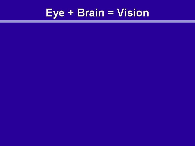 Eye + Brain = Vision 