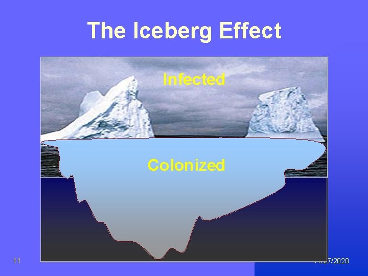 The Iceberg Effect Infected Colonized 11 11/27/2020 