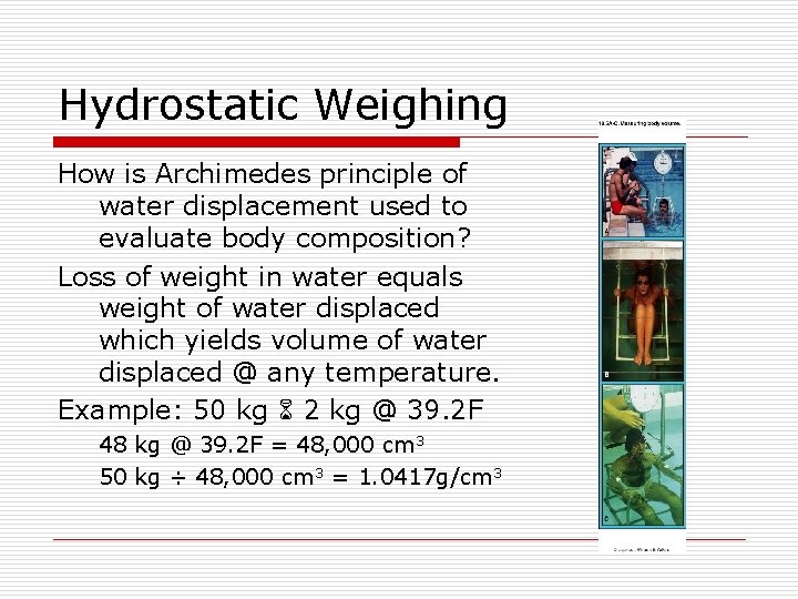 Hydrostatic Weighing How is Archimedes principle of water displacement used to evaluate body composition?