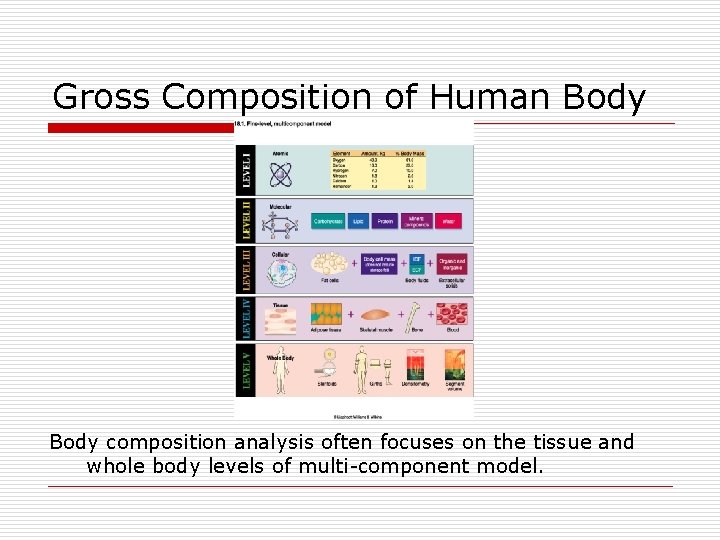 Gross Composition of Human Body composition analysis often focuses on the tissue and whole