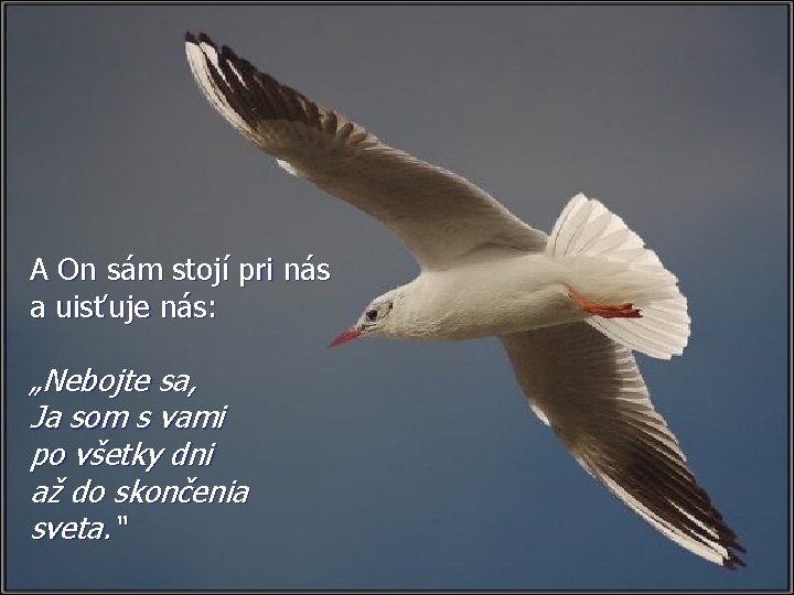 A On sám stojí pri nás a uisťuje nás: „Nebojte sa, Ja som s