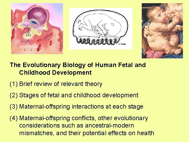 The Evolutionary Biology of Human Fetal and Childhood Development (1) Brief review of relevant