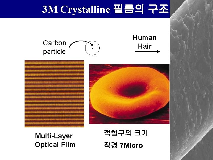 3 M Crystalline 필름의 구조 Carbon particle Multi-Layer Optical Film Human Hair 적혈구의 크기