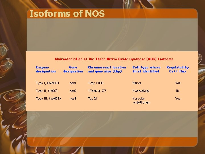 Isoforms of NOS 