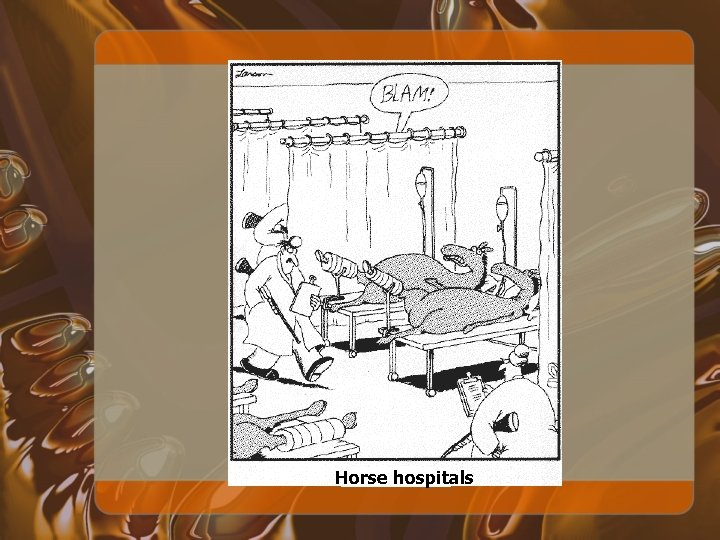 Horse hospitals 