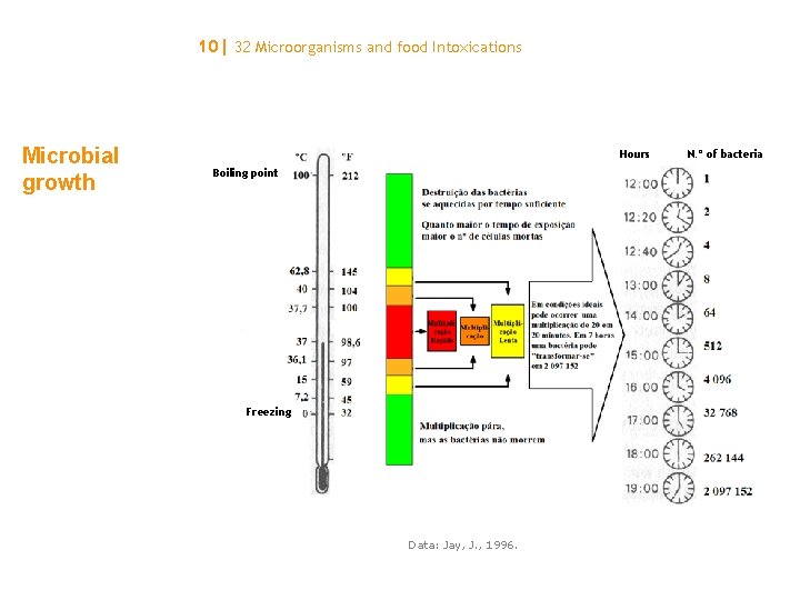 10| 32 Microorganisms and food Intoxications Microbial growth Hours Boiling point Freezing Data: Jay,