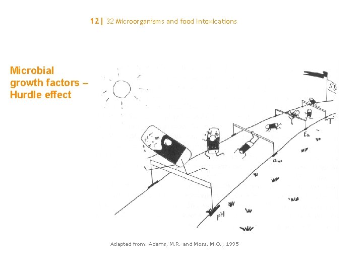 12| 32 Microorganisms and food Intoxications Microbial growth factors – Hurdle effect Adapted from: