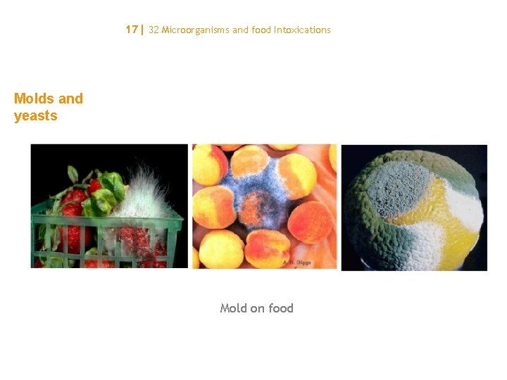17| 32 Microorganisms and food Intoxications Molds and yeasts Mold on food 