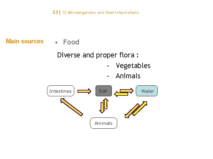 23| 32 Microorganisms and food Intoxications Main sources • Food Diverse and proper flora