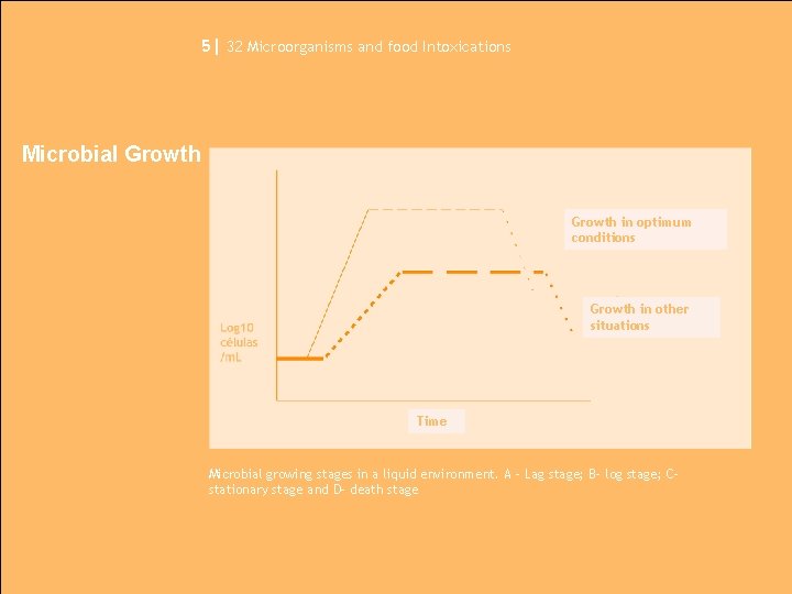 5| 32 Microorganisms and food Intoxications Microbial Growth in optimum conditions Growth in other