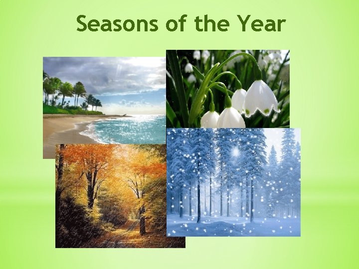 Seasons of the Year 