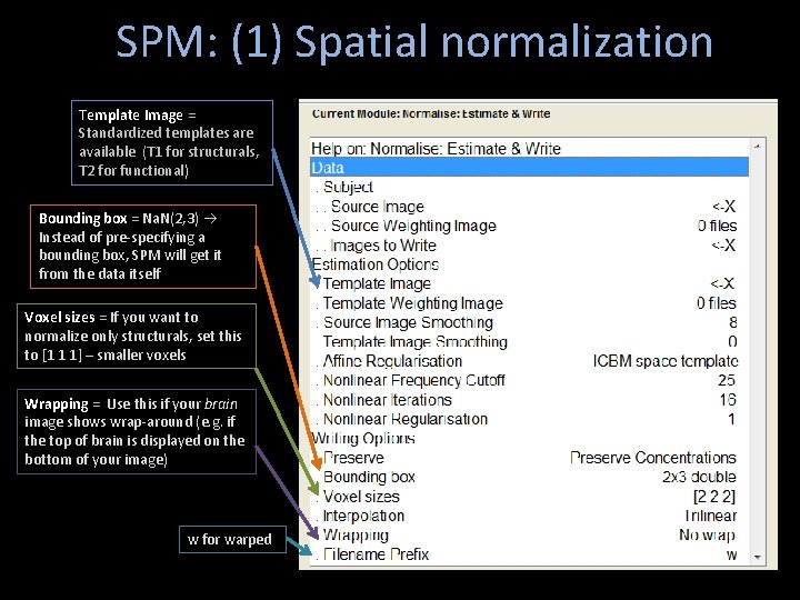 SPM: (1) Spatial normalization Template Image = Standardized templates are available (T 1 for