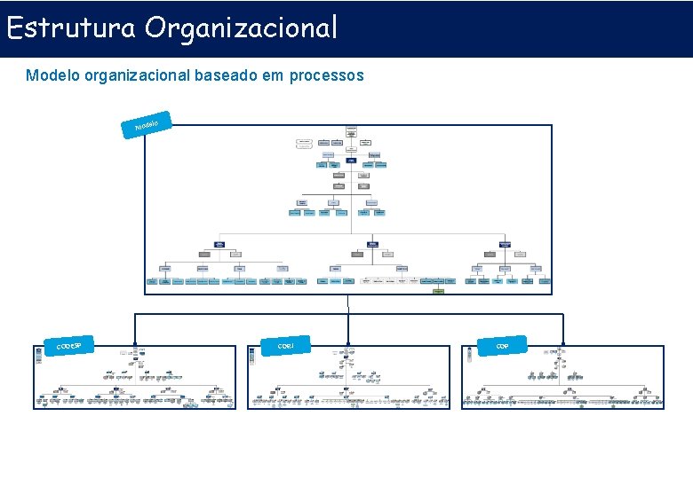 Estrutura Organizacional Modelo organizacional baseado em processos lo Mode CODESP CDRJ CDP 
