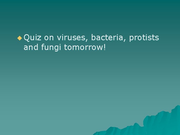 u Quiz on viruses, bacteria, protists and fungi tomorrow! 