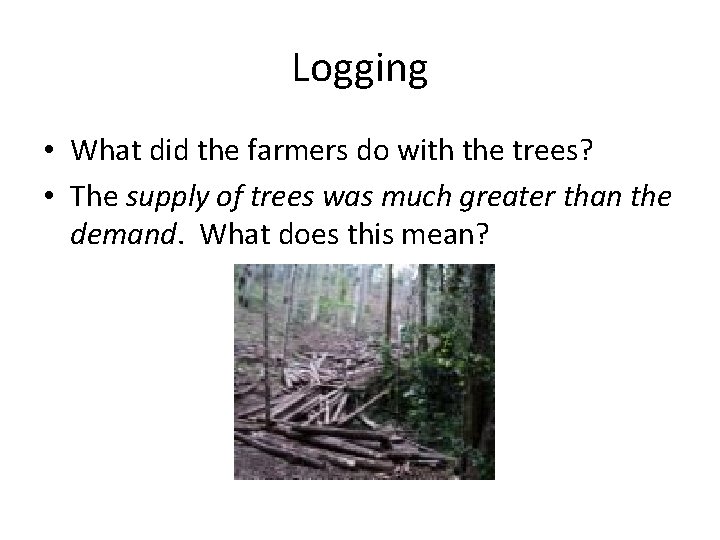 Logging • What did the farmers do with the trees? • The supply of