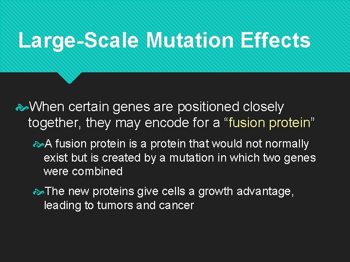 Large-Scale Mutation Effects When certain genes are positioned closely together, they may encode for