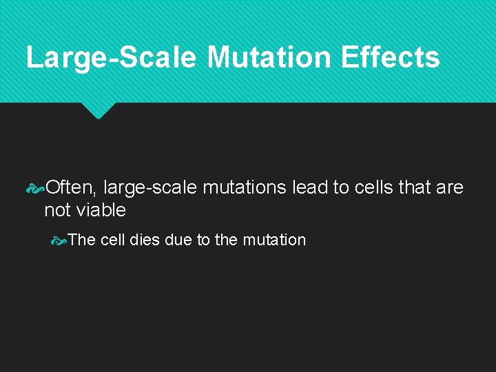 Large-Scale Mutation Effects Often, large-scale mutations lead to cells that are not viable The