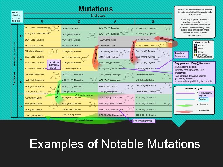 Examples of Notable Mutations 