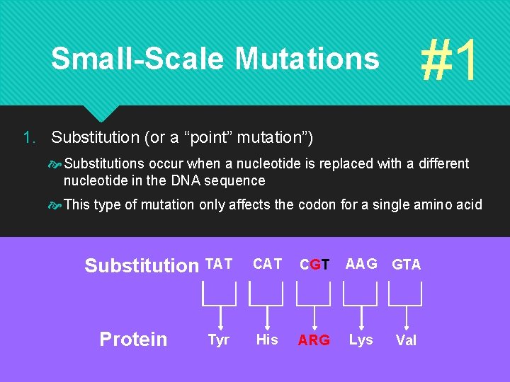 #1 Small-Scale Mutations 1. Substitution (or a “point” mutation”) Substitutions occur when a nucleotide