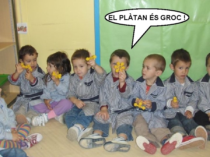 EL PLÀTAN ÉS GROC ! 