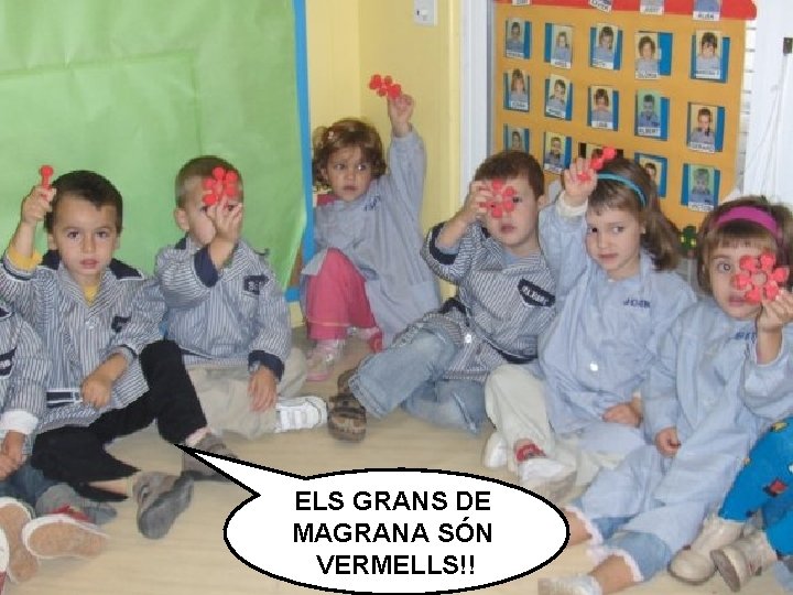 ELS GRANS DE MAGRANA SÓN VERMELLS!! 