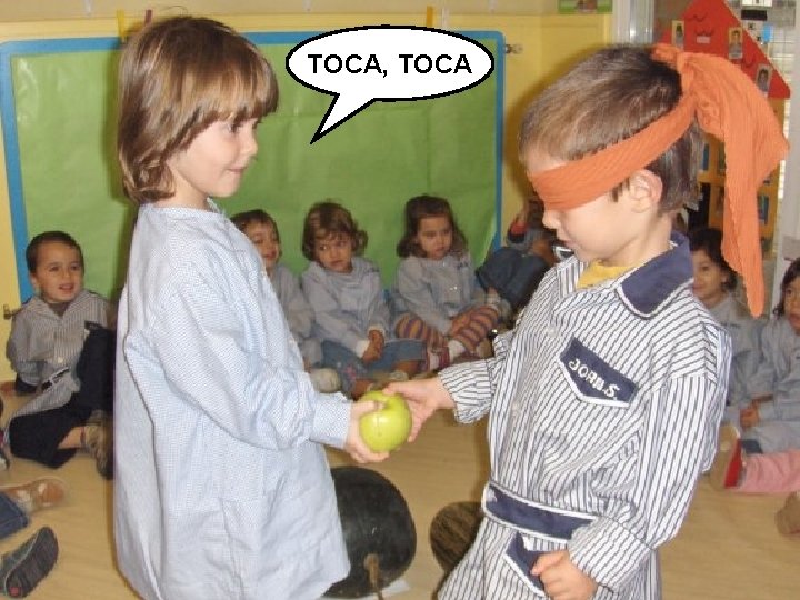 TOCA, TOCA 