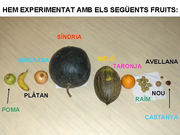 HEM EXPERIMENTAT AMB ELS SEGÜENTS FRUITS: SÍNDRIA MAGRANA PLÀTAN MELÓ AVELLANA TARONJA RAÏM NOU