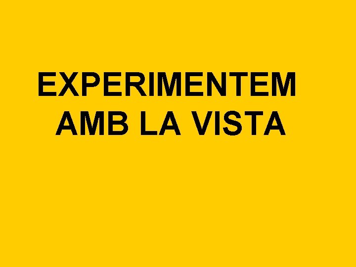 EXPERIMENTEM AMB LA VISTA 