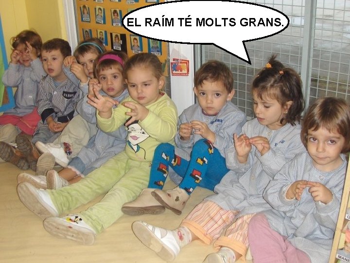 EL RAÍM TÉ MOLTS GRANS. 