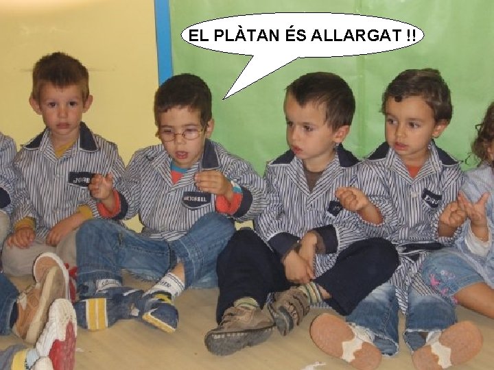 EL PLÀTAN ÉS ALLARGAT !! 