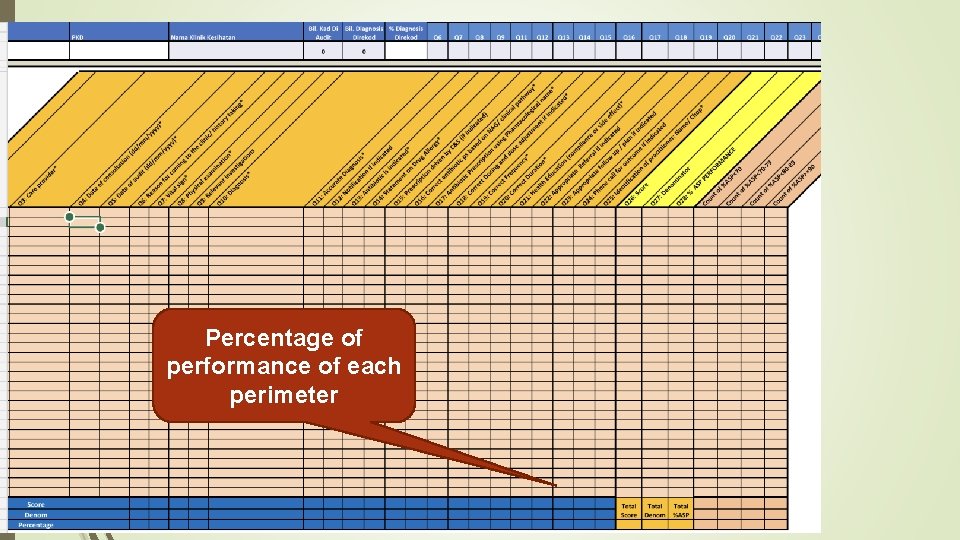 Percentage of performance of each perimeter 