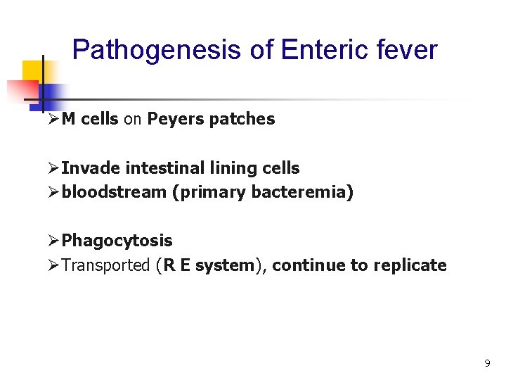 Pathogenesis of Enteric fever ØM cells on Peyers patches ØInvade intestinal lining cells Øbloodstream